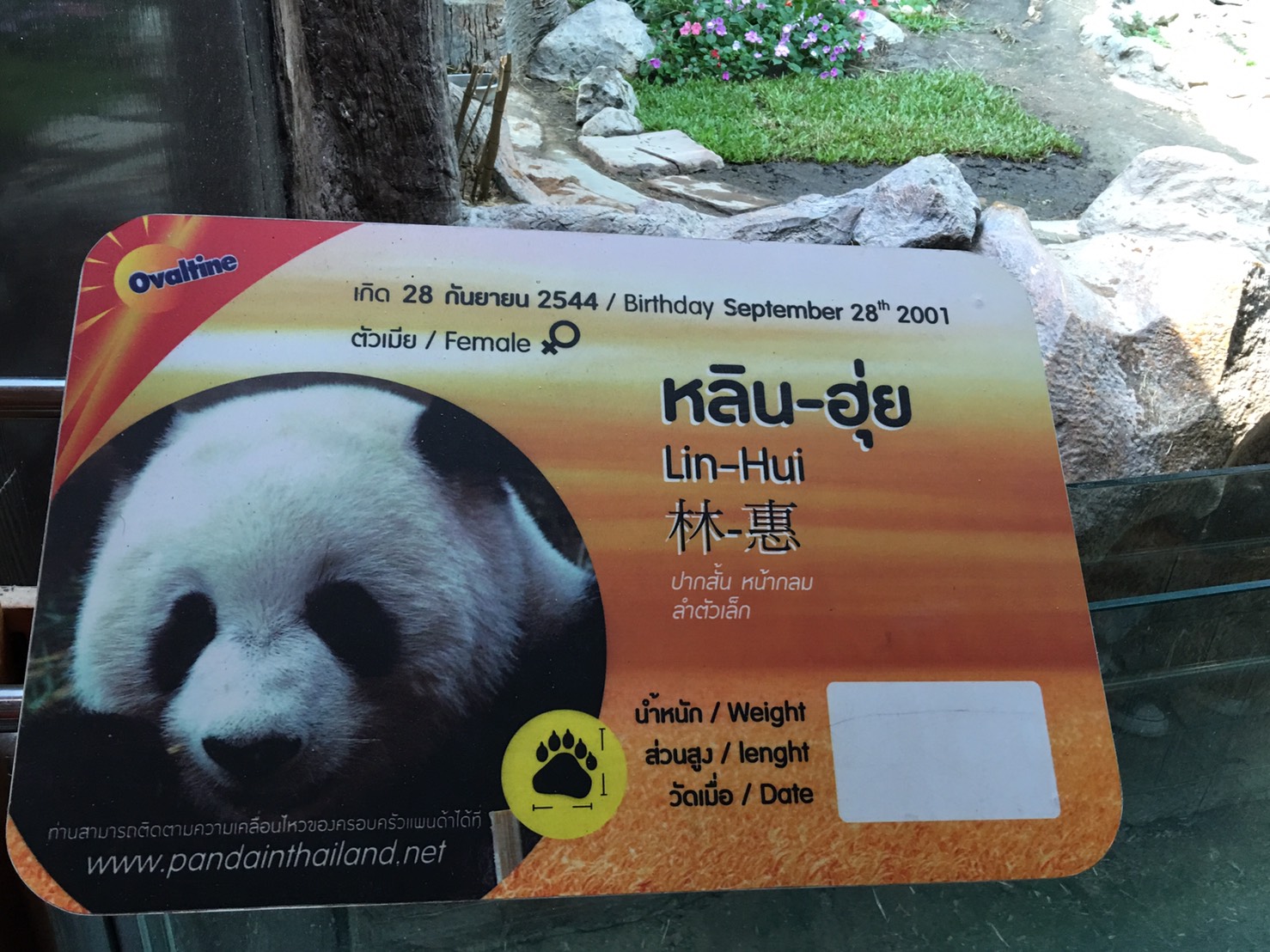 104 นายกสมาคมภริยาฯ นำคณะกรรมการสมาคมฯและผู้ร่วมโครงการสานรักสานฝันรางวัลแด่น้อง เข้าเยี่ยมชมสวนสัตว์เชียงใหม่และ ซูอควาเรียม
