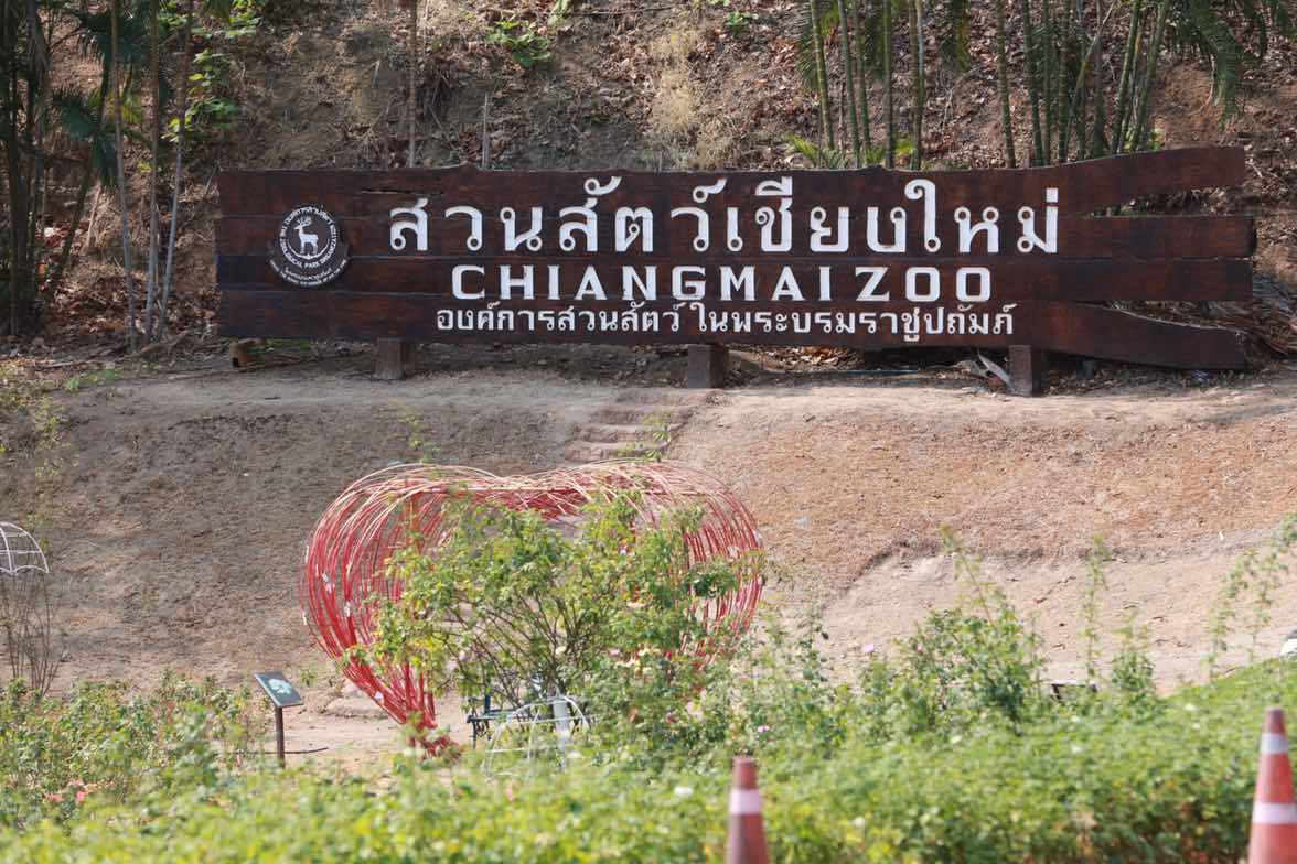104 นายกสมาคมภริยาฯ นำคณะกรรมการสมาคมฯและผู้ร่วมโครงการสานรักสานฝันรางวัลแด่น้อง เข้าเยี่ยมชมสวนสัตว์เชียงใหม่และ ซูอควาเรียม