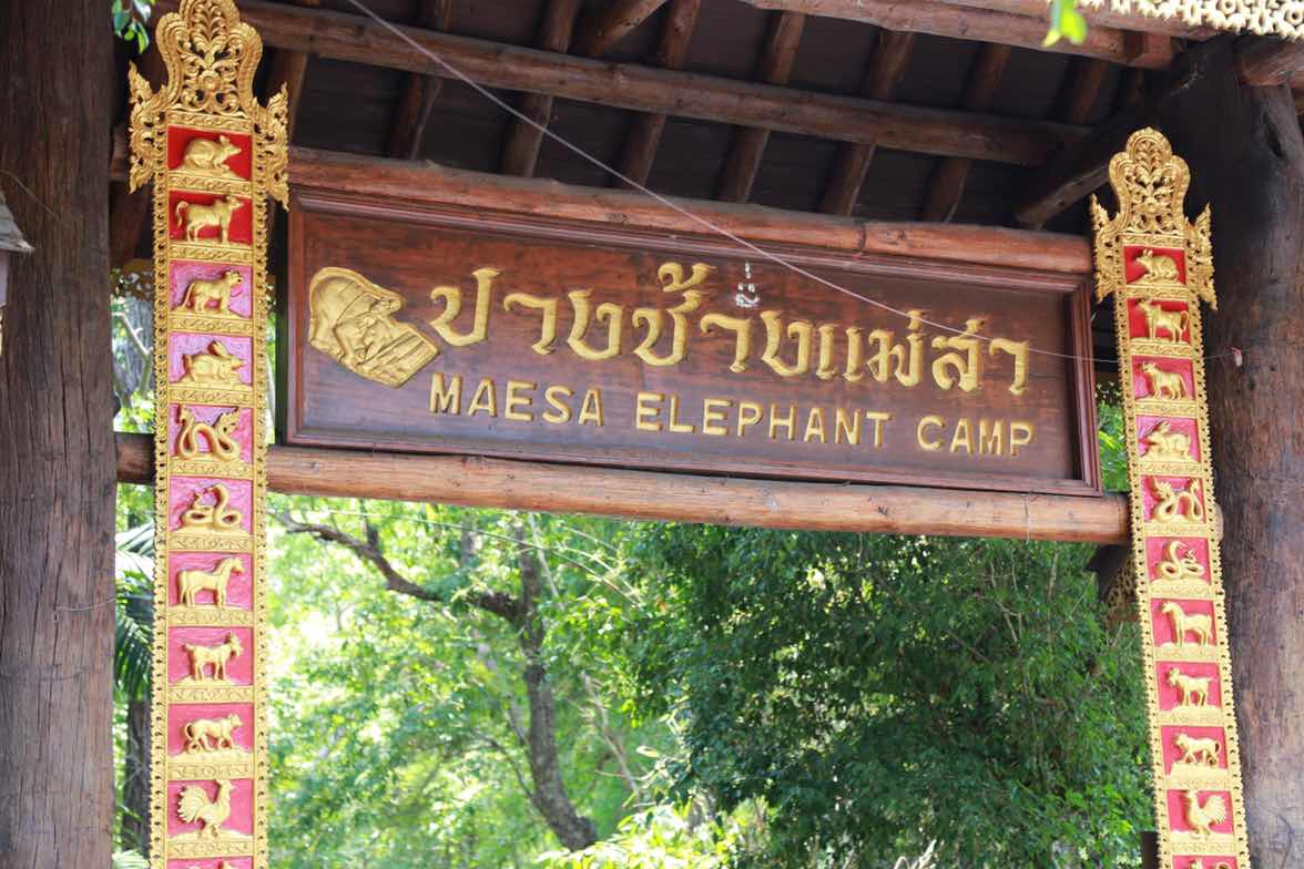 105 นายกสมาคมภริยาฯ นำคณะกรรมการสมาคมฯและผู้ร่วมโครงการ "สานรัก สานฝัน รางวัลแด่น้อง" เข้าเยี่ยมชมปางช้าง เชียงใหม่
