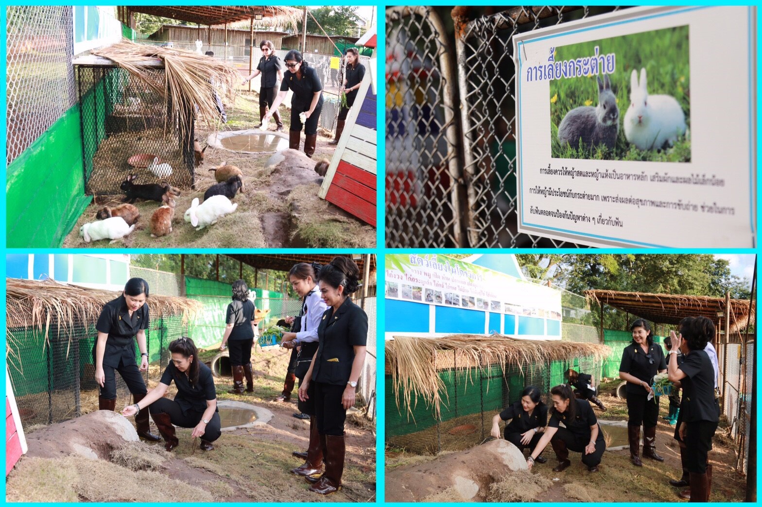 026 เมื่อวันที่ 6 มกราคม 2560 นายกสมาคมภริยาฯ พร้อมด้วยคณะกรรมการสมาคมฯ เดินทางไปตรวจเยี่ยมและติดตามการดำเนินงาน โครงการบริหารจัดการขยะรักษาสิ่งแวดล้อม โครงการศูนย์ส่งเสริมการเรียนรู้ โครงการครอบครัวพอเพียงและโครงการสายใยรักษ์เพื่อคนพิเศษ ในพื้นที่ของหน่วย ศพปน.พท.ศอพท. อ.ฝาง จ.เชียงใหม่