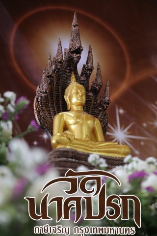 049 เมื่อวันที่ 17 มีนาคม 2560 ประธานฝ่ายกิจกรรมและโครงการสมาคมภริยาฯ เป็นผู้แทนนายกสมาคมภริยาฯ พ...